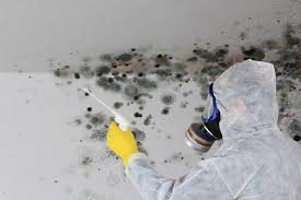 Professional Mold Inspection in Aptos Hills Larkin Valley, CA